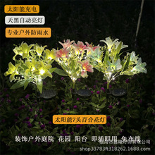 �羳Դ�^�S��LED���^�����ˮ��؟�ͥԺ���@���滨�Շ���