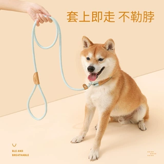 狗狗牵引绳中大型犬安全扣狗绳项圈遛狗P绳宠物用品防走丢安全带