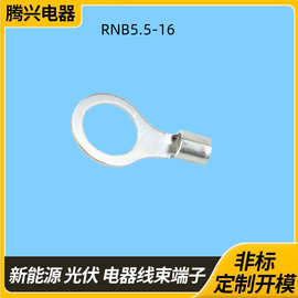 RNB5.5-16紫铜磷铜镀锡端子O型冷压汽车接线端子 圆形冷压铜鼻子
