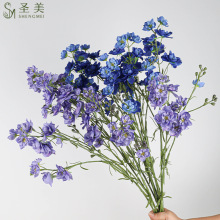 ����3����ȸ���w������_�m�ٻ�������c��ˇ�Ҿ��b廨��Ļ�