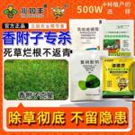 【香附子克星】兆如丰专打香附子专杀香附子甘蔗玉米水稻草坪正品