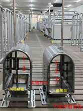 新款加厚猪用防粪便饮水碗不锈钢自动饮水盆养猪场喝水槽经久耐用