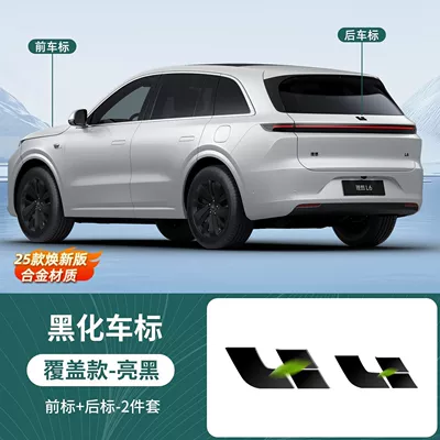 Other Automotive Interior Supplies Logo, Hood Logo, Trunk Tail Logo - i6-front-and-rear-logo-2-piece-set