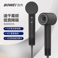 Bowei泊はB10高速ヘアドライヤーマイナスイオン大風力風筒家庭用電気吹き星ホテルの同金である