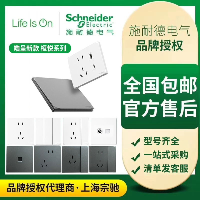 Schneider Switch Socket Matte Panel Household White One Switch Five-Hole Dual Control 86 Type Concealed Installation Huan Yue Wall Socket