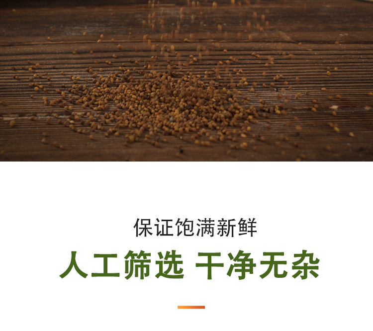Tu Si Zi (Cuscuta chinensis) — Dried Dodder Seed, Washed & Sulfur-Free, 500g in use