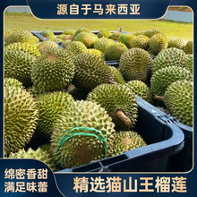 �M���pA؈ɽ����ɏ���r�����쎧��Һ��������l�R�������M����ɏ