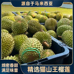 进口双A猫山王榴莲新鲜树上熟带壳液氮冷冻批发马来西亚进口榴莲