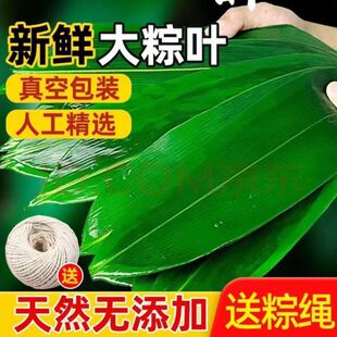 ���r���~���繝�����~��̖�Fժ�ش�â�~���������~�̼���ɢ�b���l