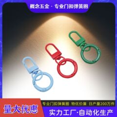 スプリングリングのドアのキーホルダーのカラーdiyアクセサリーのキーホルダーの部品の金属のスプレーのスプリングリングの装飾の卸売り