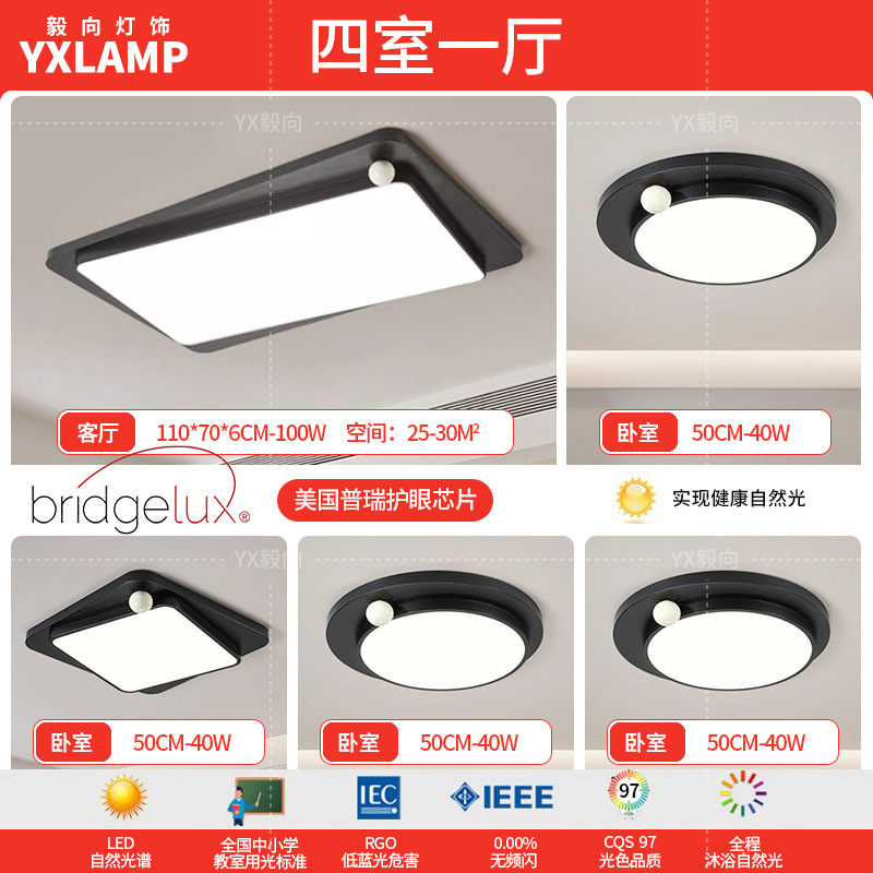 Luz de techo minimalista italiana sala de estar luz principal LED atmósfera creativa simple negro de alto nivel protección de ojos lámpara de dormitorio principal