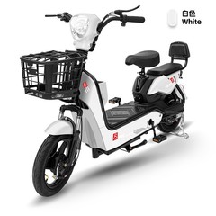 国境を越えた卸売ゴールデンイーグル電気自動車ソースメーカー直販大人用二輪電動自転車と小型バッテリーカー