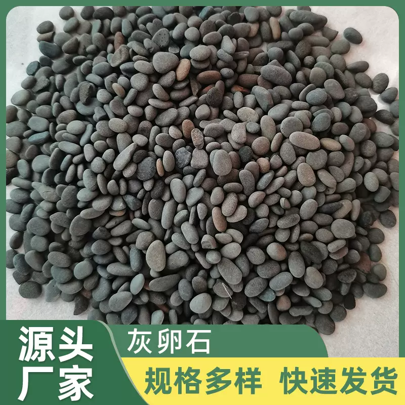 灰色鹅卵石厂家供应抛光铺路灰色石子庭院枯山热敷豆石振洗卵