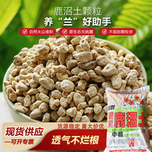 ���l¹�������������N����΢���������w���Nֲ�m��¹�����w��