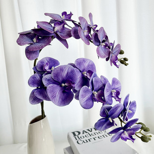������9�^�����m3Dܛ�z���ļٻ��҃������b�ƷDIY�廨�[�����l