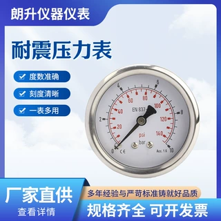 Y40-Y150耐震全不锈钢压力表 气压表高压水压液压防震真空表