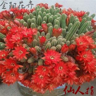 ��β�� ����ָ ��̴ ����ëë�x���_�����������k��������