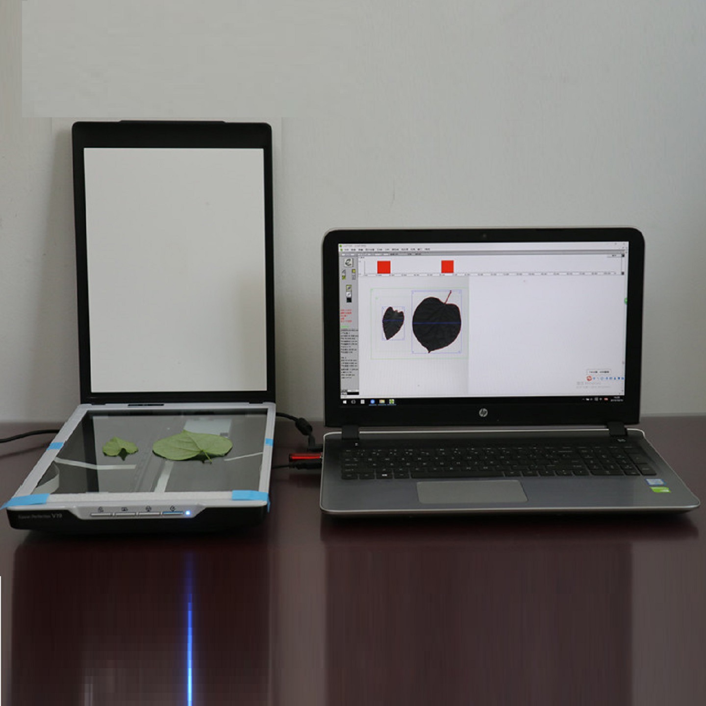 针叶图像分析仪（不含电脑型号TT34-FS-leaf1000Z 库号M364387