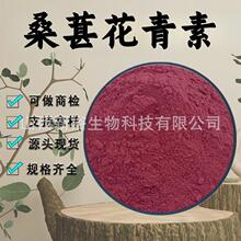 桑葚花青素25%天然桑葚提取物食品级原料桑葚果粉抗氧化现货包邮