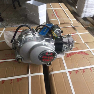 110 Single Clutch Goldfish Horizontal Motorcycle Engine Electric Single New Engine