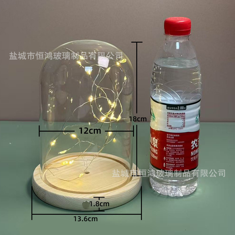 海胆永生花干花侧面触摸开关玻璃罩子底座带灯展示盒手办创意|undefined