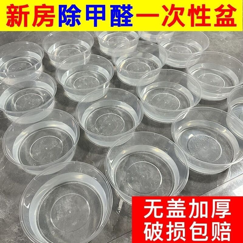 Formaldehyde-Removing Disposable Water Basin, Outdoor Transparent Plastic, Lidless Lunch Box, Crayfish Takeout Box, Fruit Salad Takeout Container