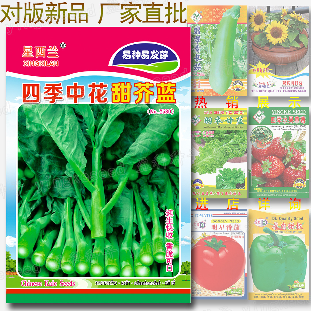 Approximately 500 Seeds of Four-Season Sweet Kale Seeds, Easy to Grow and Delicious, Guangdong Kale Vegetable Seeds, Wholesale Vegetable Seeds