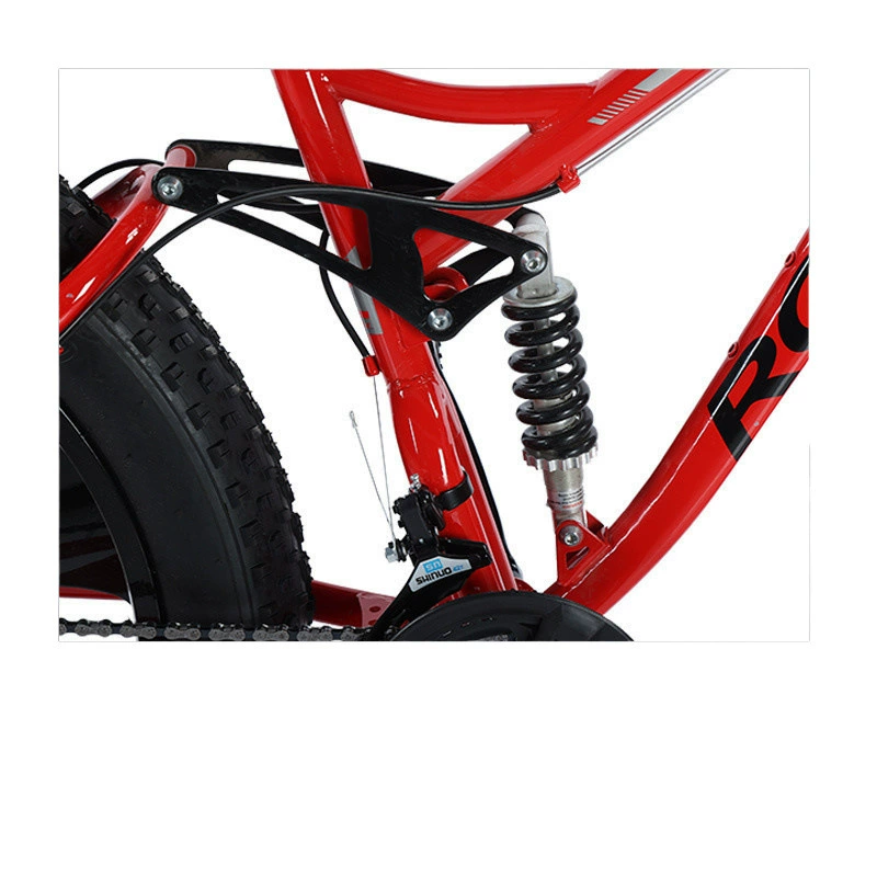 Off-road beach mountain bike, J26