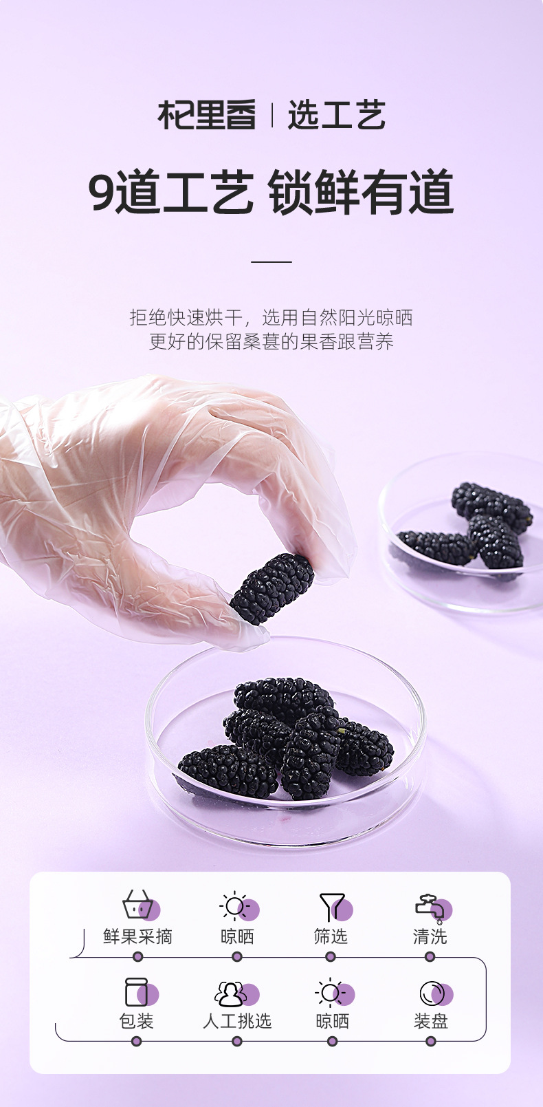 Dried Mulberry Fruit 60g Bag Sang Shen Dried Black Mulberry for Tea and Wine Soaking quality and texture