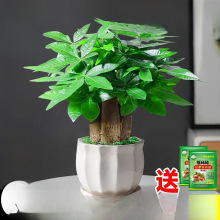 l2025lؔСԻܾGֲk҃ˮ辰B