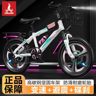 凤凰儿童自行车6-12岁男女孩中大童小学生变速山地车20寸单车碟刹