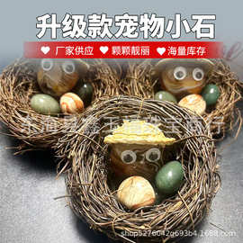 厂家供应宠物小石升级款石头小净网红宿舍宠物安静可爱养石头石宠