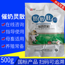 �Fș�����������`ɢ500g����׷���Rţ���i�a���BѪͨ�������̃���