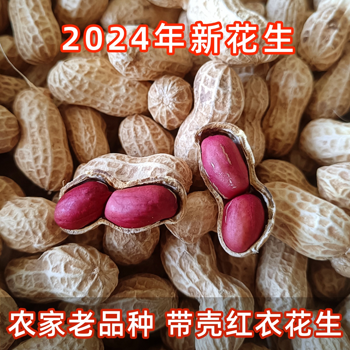 红衣花生带壳2粒四川老品种土花生20农家新鲜晒干生花生种子