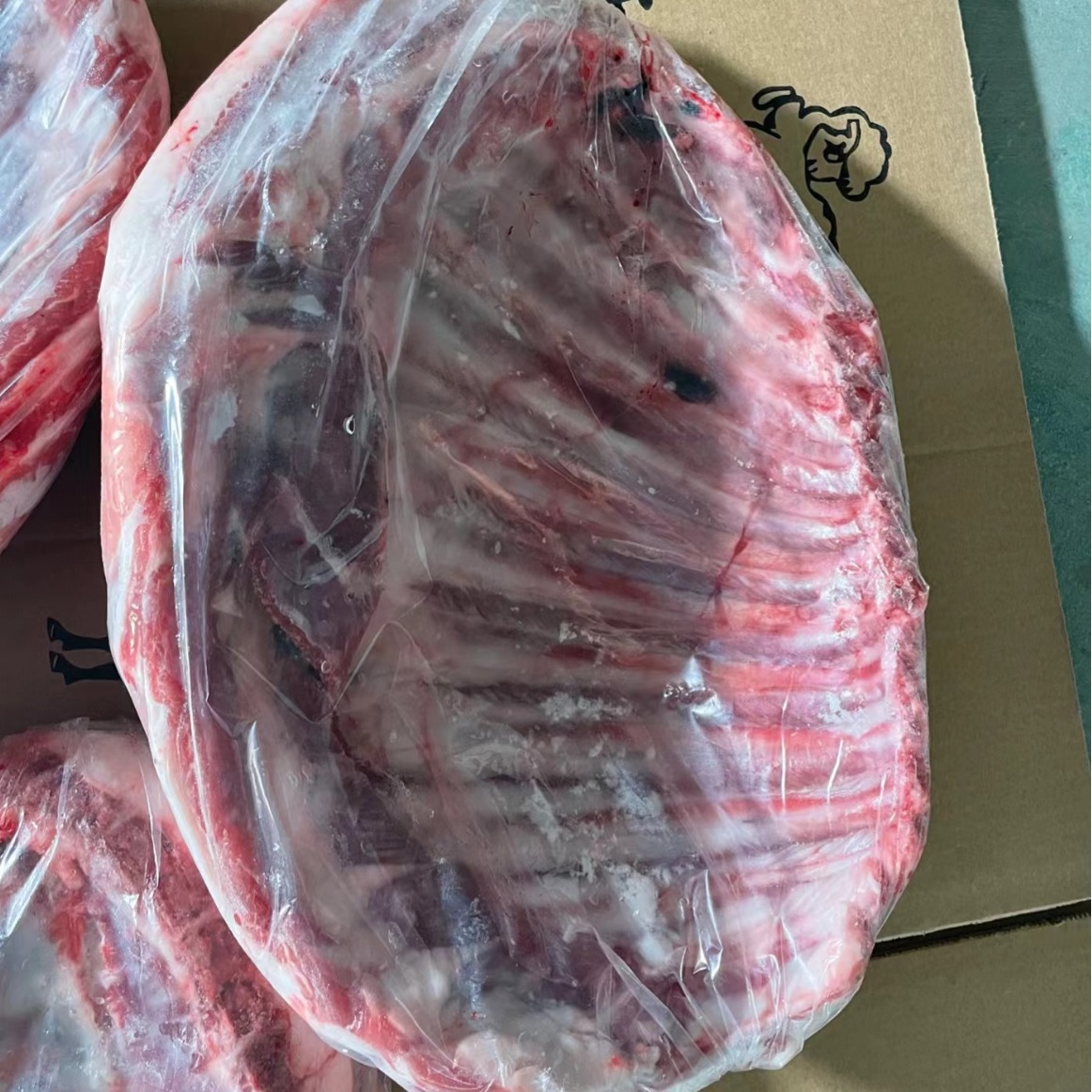 内蒙羊排肋排散养羔羊新鲜现杀羊排骨正宗手把肉羊肋条滩羊排烧烤