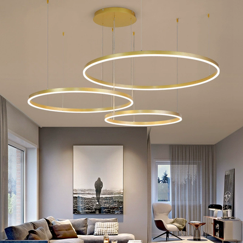 Minimalistic Ring Ceiling Lamp, Modern Living Room LED, Lightweight Aluminum, 40–100 cm