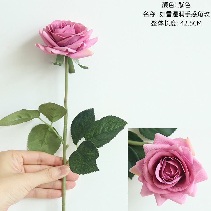 보라색