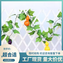 �����߲˺��J�Gɫ�tɫ�{ɫ�Sɫ�ٺ��Jʳ��ģ�͙������ДzӰ����