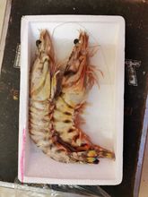 �ڻ��r���r�r�� ���ϻ��r ���rˮ�a�r�r���r���������r���r