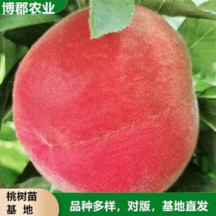 ��������Ҙ��� ����ֱ�lֱ��5�������Ե��Ԓ��ˮ������