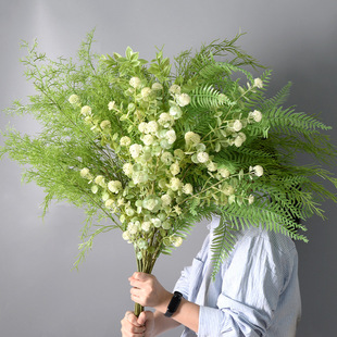 ��ึ��ƻ�cɭϵ�Gɫϵ���滨���~�ӻ�Y�����bٻ��Gֲ���ϻ�