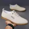 Beige front hollow model