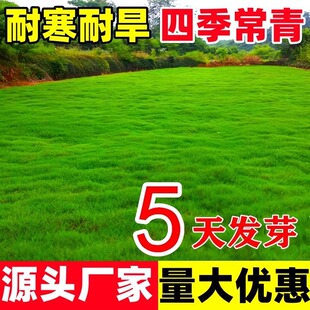 ��ƺ�N���o���ѾG���������M�ڸ���é�������R�����ļ���ͥԺ