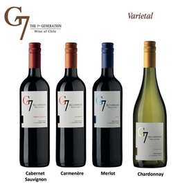 俄罗斯G7红酒干红葡萄酒智利产4款西餐酒吧洋酒正品原装进口红酒