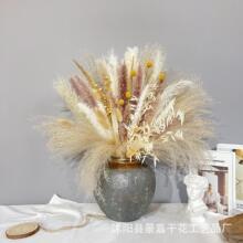 �JȔ�ɻ������b[���廨���b���͏d�羳���ع���С�JȔ�b�