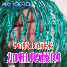 �@ˇֲ�����پW�ϾW��Ͻz���S�϶������Ѱ�������������W��ܾW