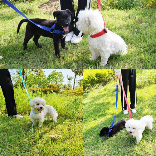 Traction rope new pet car safety rope cat and dog car travel safety belt special for small and medium-sized dogs