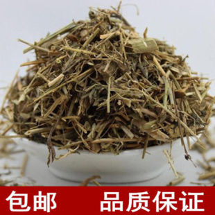 ��ș�� �j�˻� ���׻� �j�� ��Ʒ