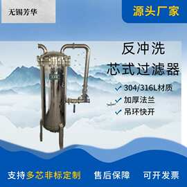 厂家新品不锈钢反冲洗多芯过滤器 精密过滤器 前置过滤器可反吹洗