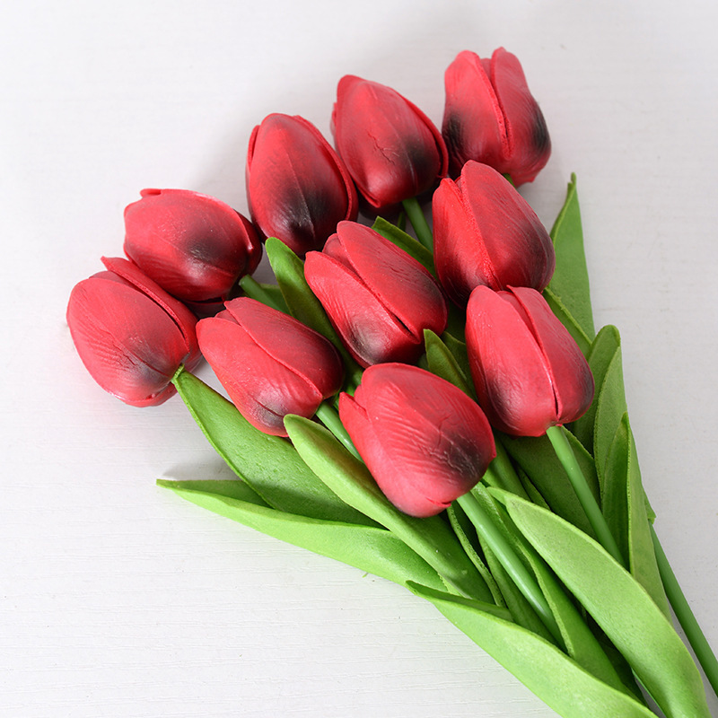 Dark Red Tulip